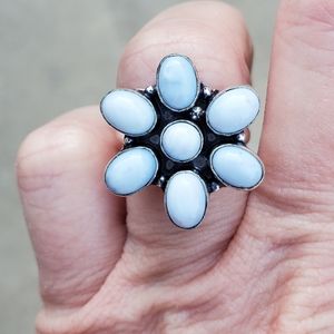 New Owyhee Opal 925 Silver Ring.